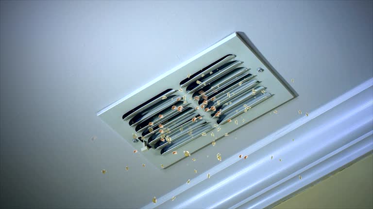 Best Affordable Duct Cleaning Services  in Darien, WI